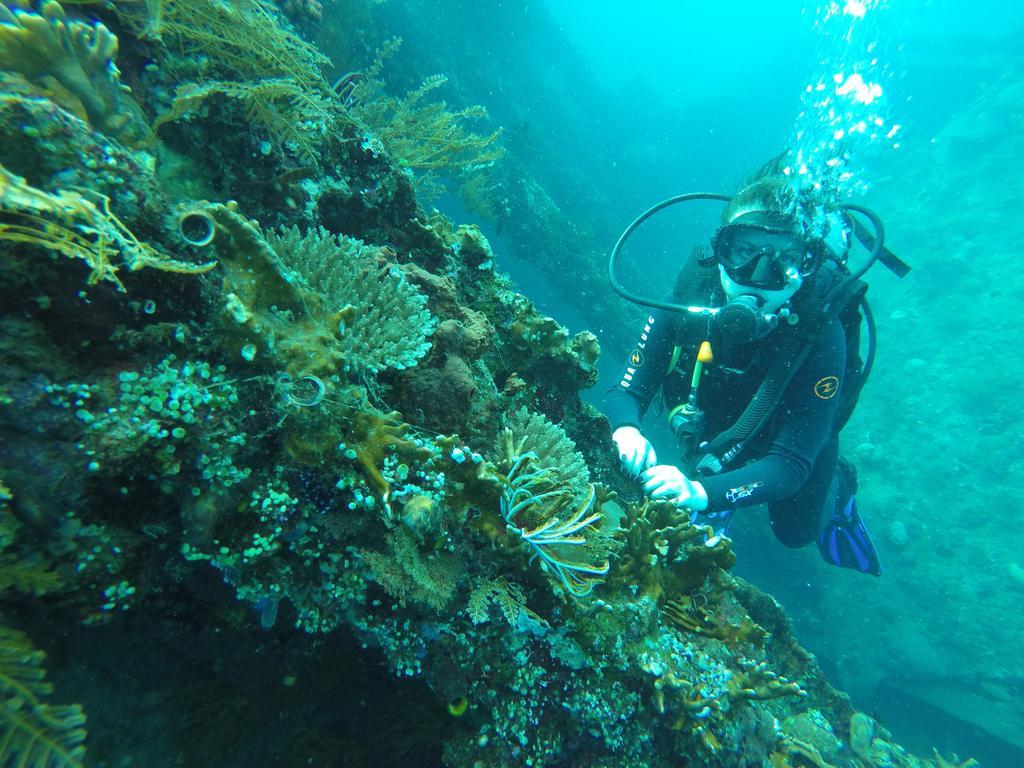 Ocean View Tulamben Dive & Resort Εξωτερικό φωτογραφία