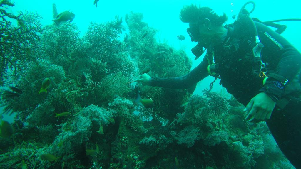 Ocean View Tulamben Dive & Resort Εξωτερικό φωτογραφία