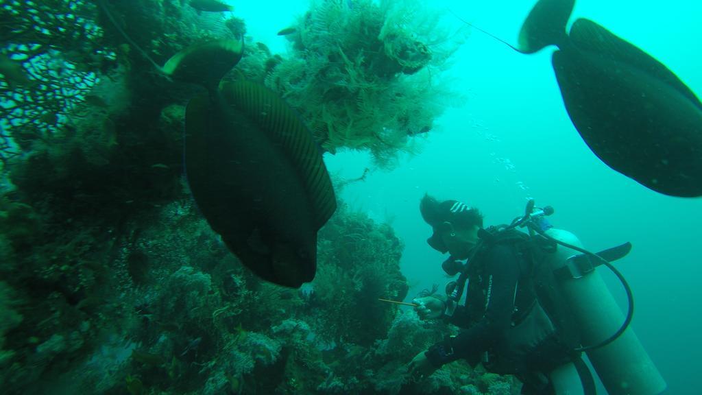 Ocean View Tulamben Dive & Resort Εξωτερικό φωτογραφία